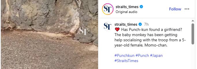 Anmol Poudel tweet media