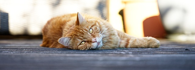 Heather Hayes tweet media