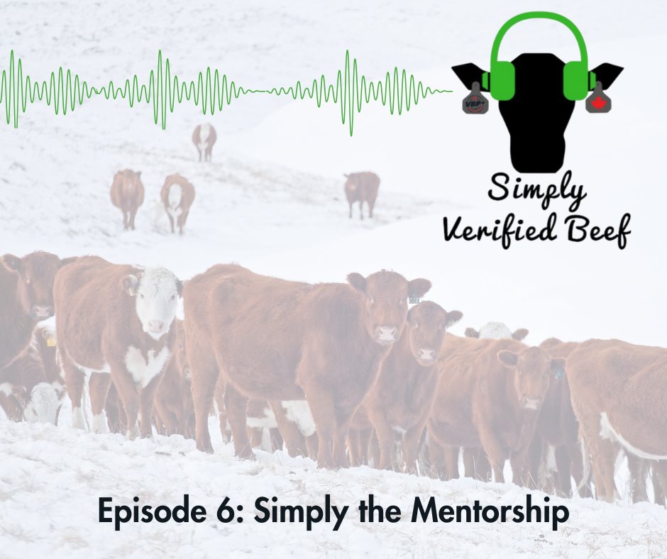 VBP+ Canada tweet media