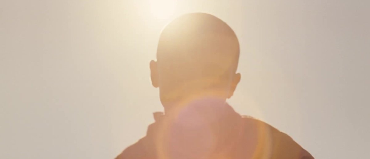 Timothée Chalamet Updates tweet media