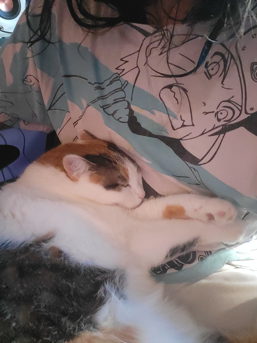 Enix 🔜 MFF tweet media