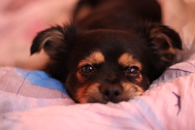 Jonathan Schindler tweet media