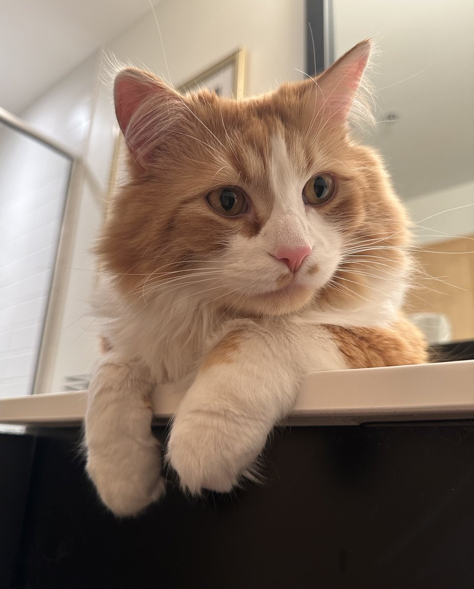 Aaron Gleeman tweet media