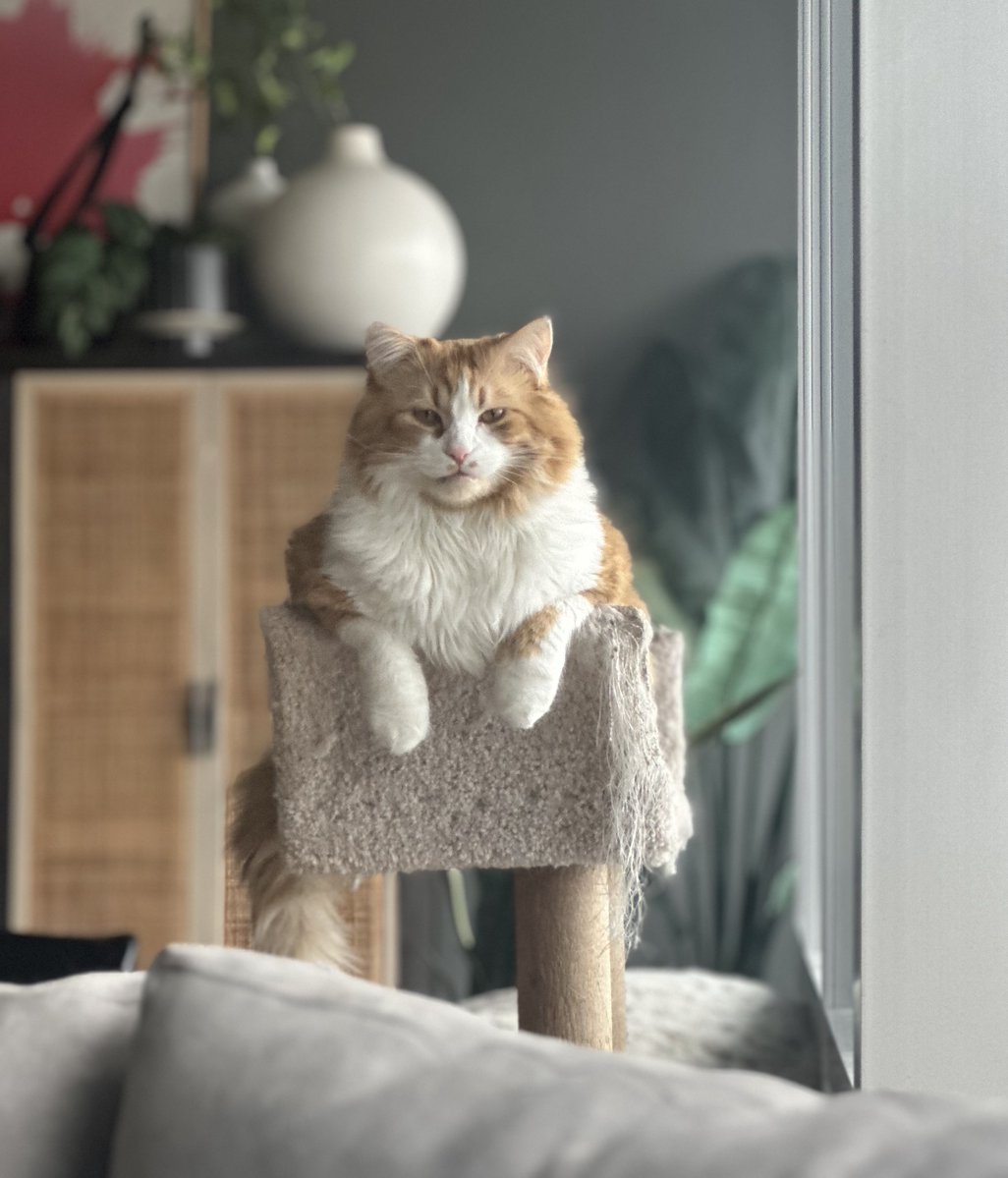 Aaron Gleeman tweet media