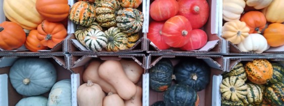 Farm Direct tweet media