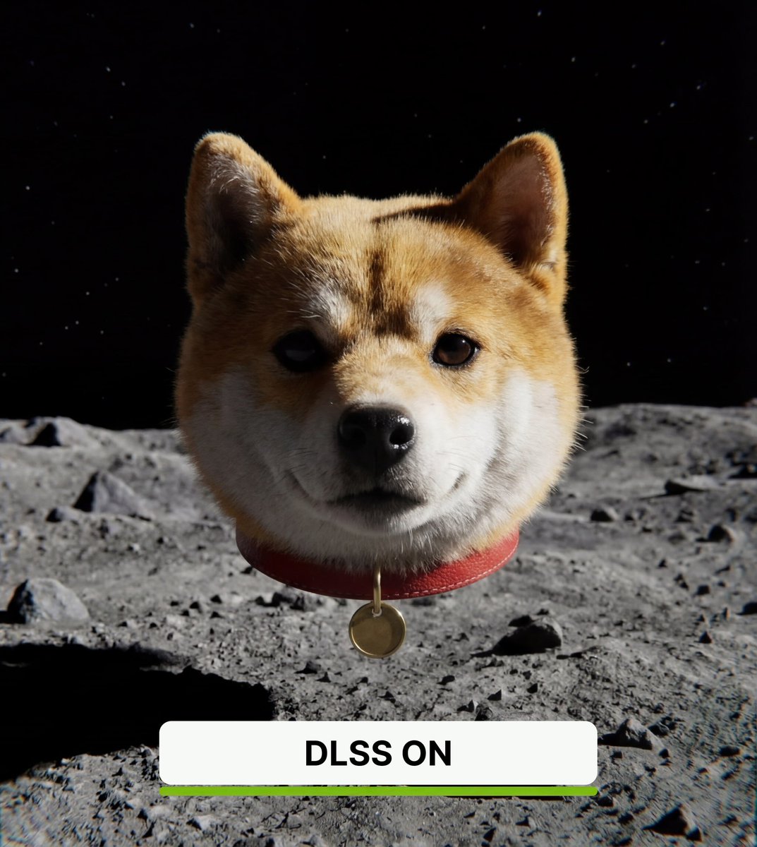 Baby Doge tweet media
