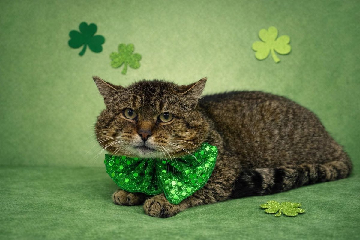 For the love of Missy. tweet media