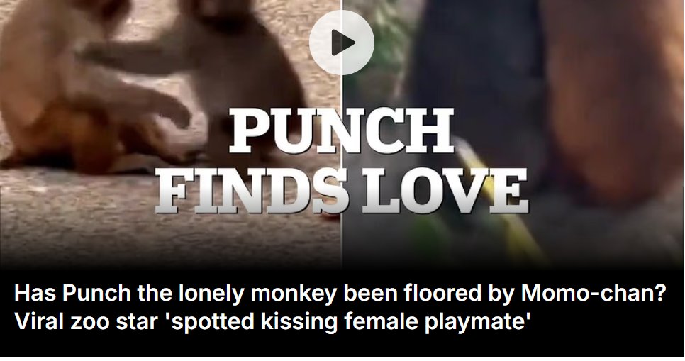 Anmol Poudel tweet media