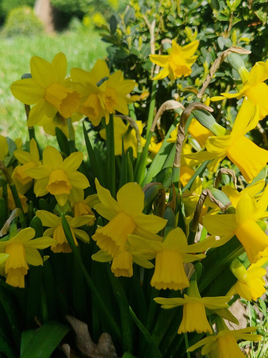 John Rutter tweet media