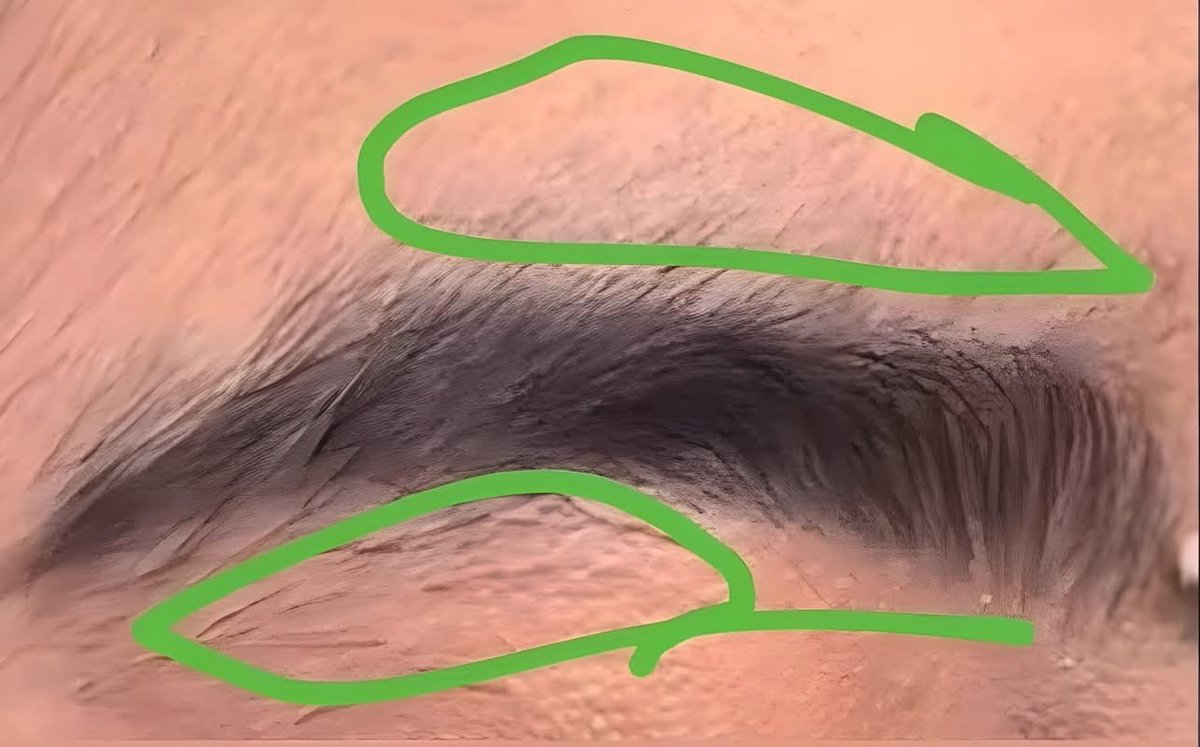 د.ياسر الدوسري tweet media