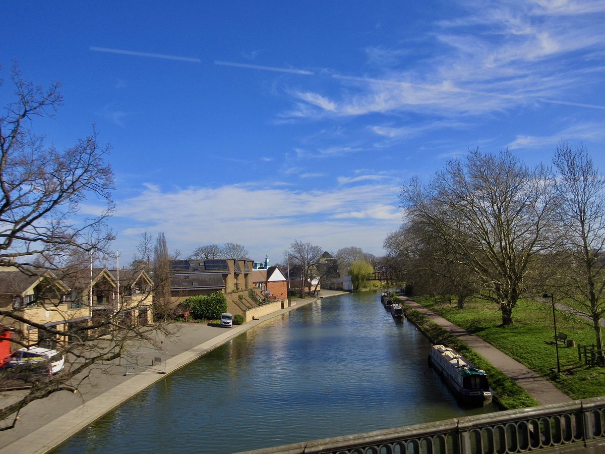 Susan Danielis Marshall tweet media