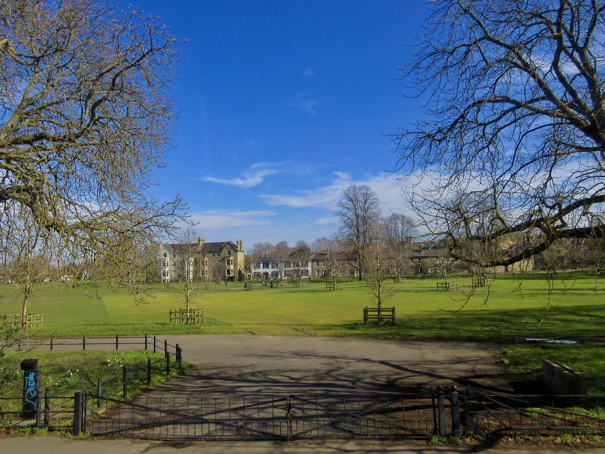 Susan Danielis Marshall tweet media