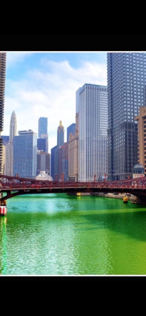 Mami Caro tweet media