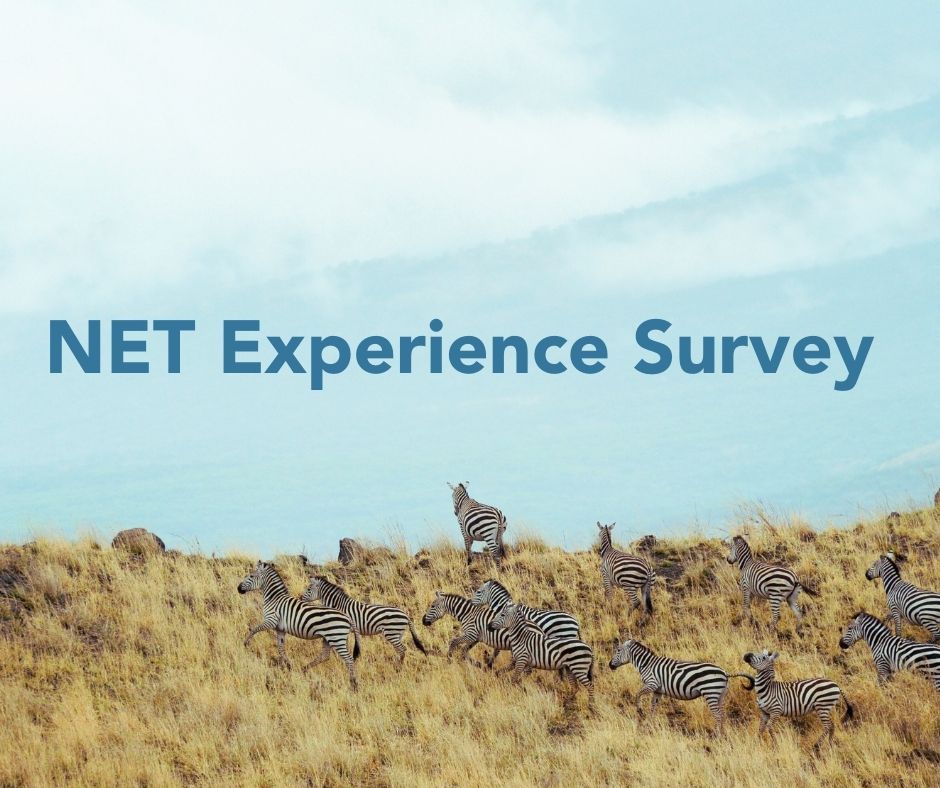 Neuroendocrine Cancer Foundation tweet media