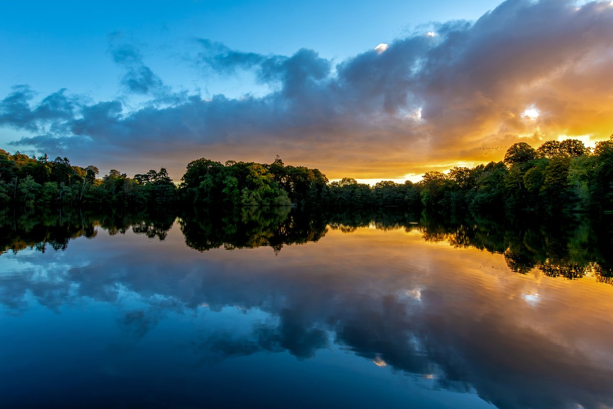 Ian Wright tweet media