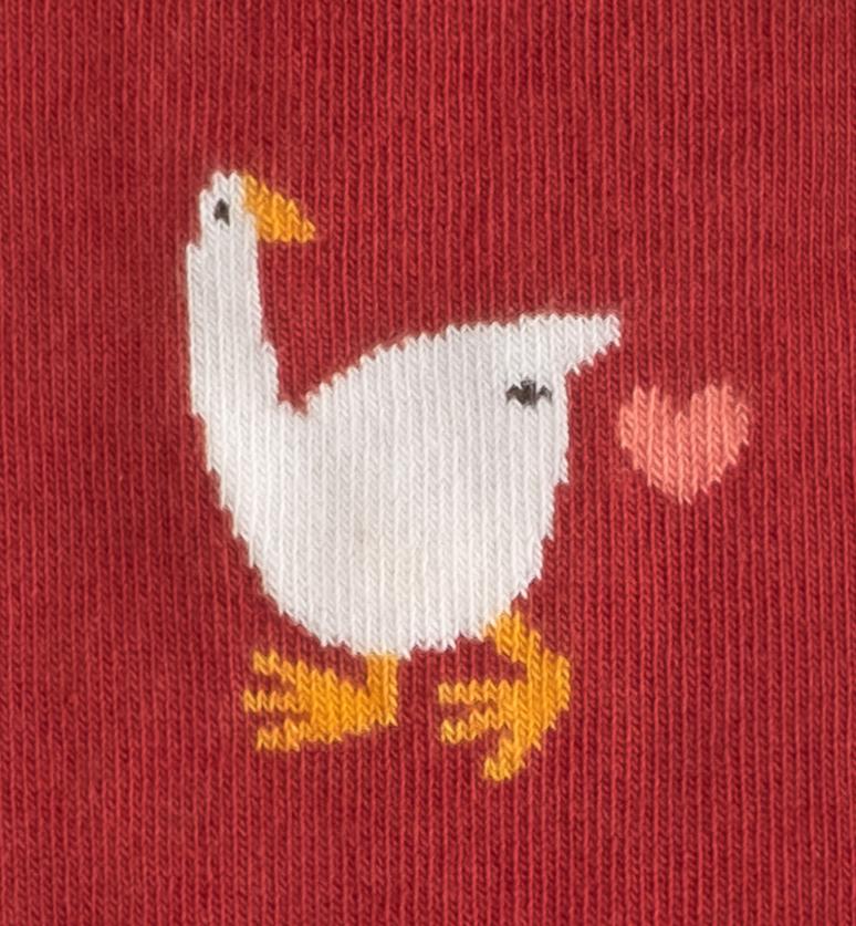 Dodo Socks tweet media