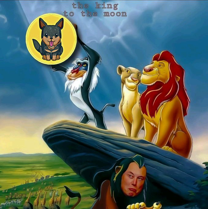 DROVER INU tweet media