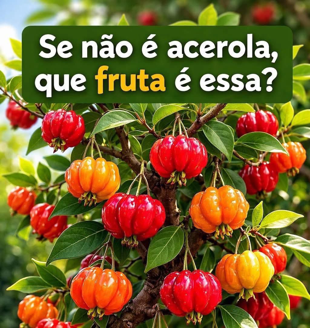 WanderValero tweet media