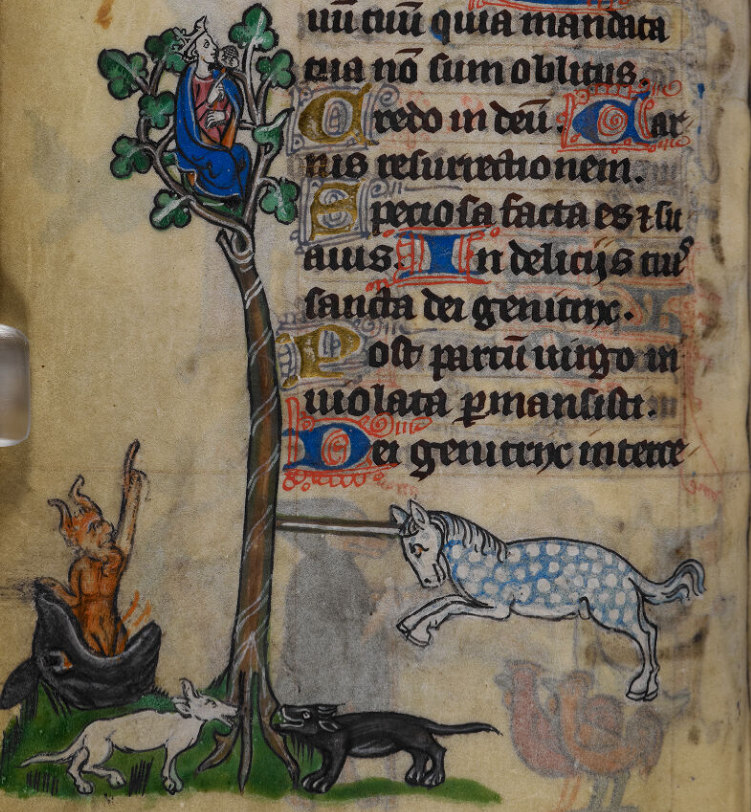 Kathleen McCallum tweet media