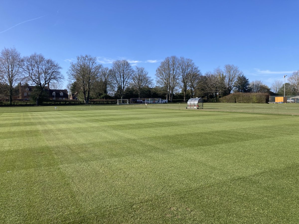 Martin Taylor tweet media