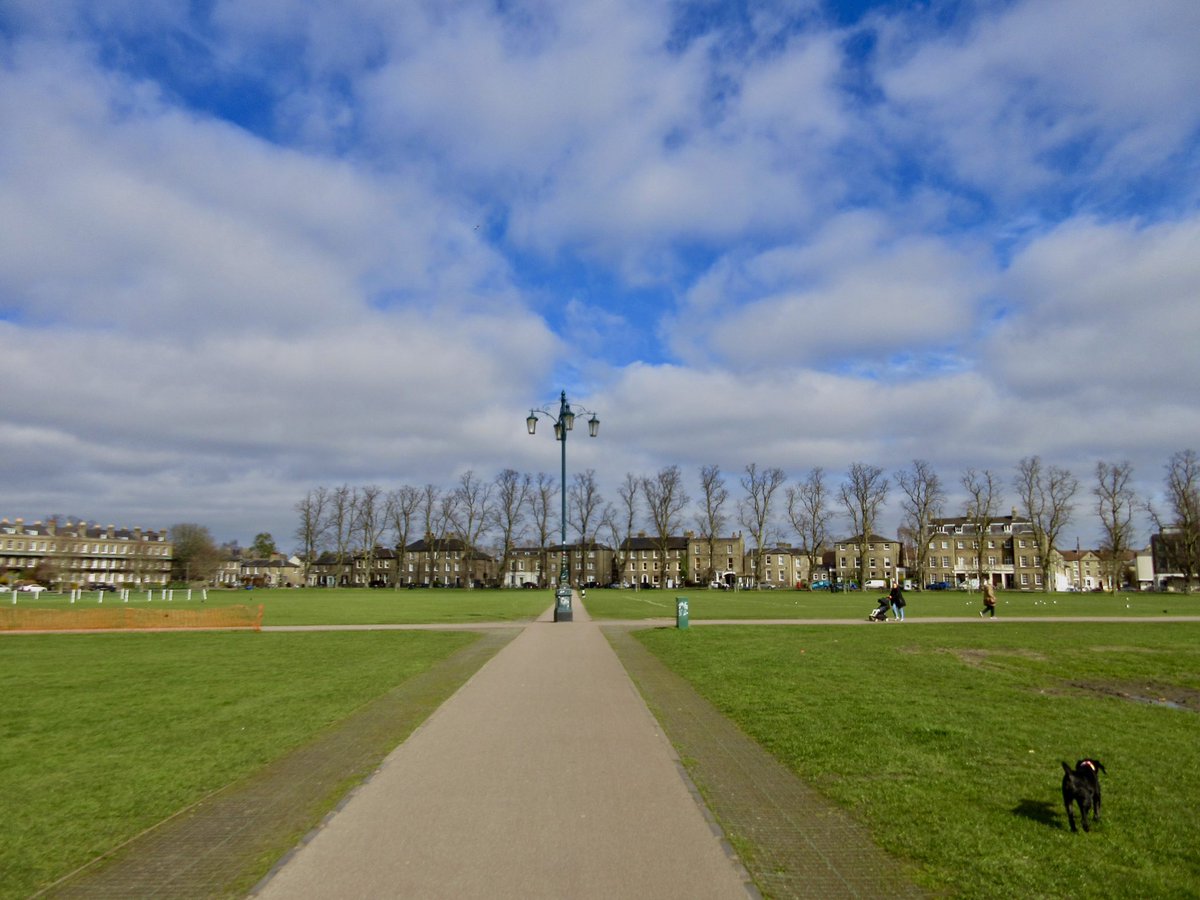 Susan Danielis Marshall tweet media