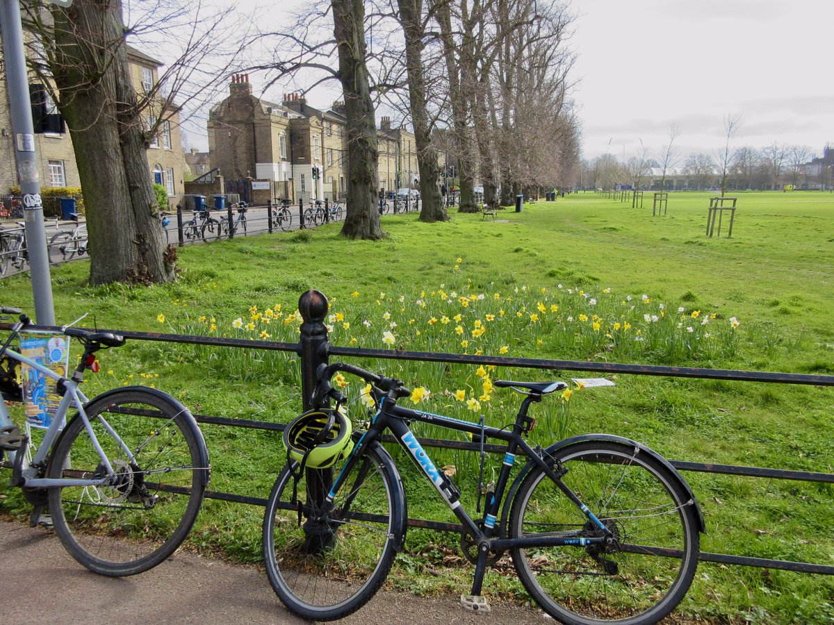 Susan Danielis Marshall tweet media