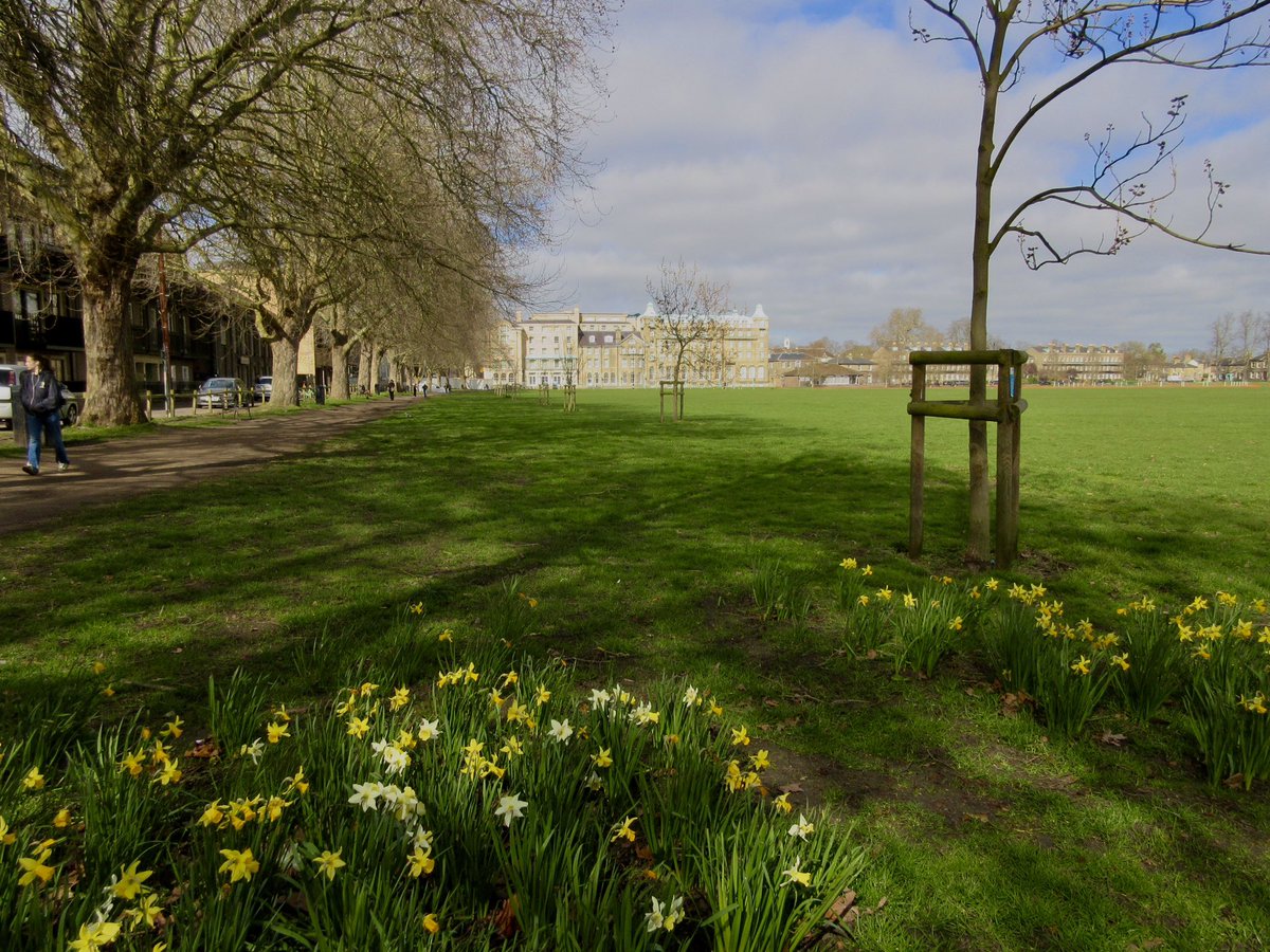 Susan Danielis Marshall tweet media