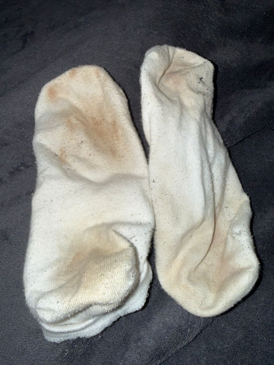 Goddess Evelyn ᥫ᭡. tweet media