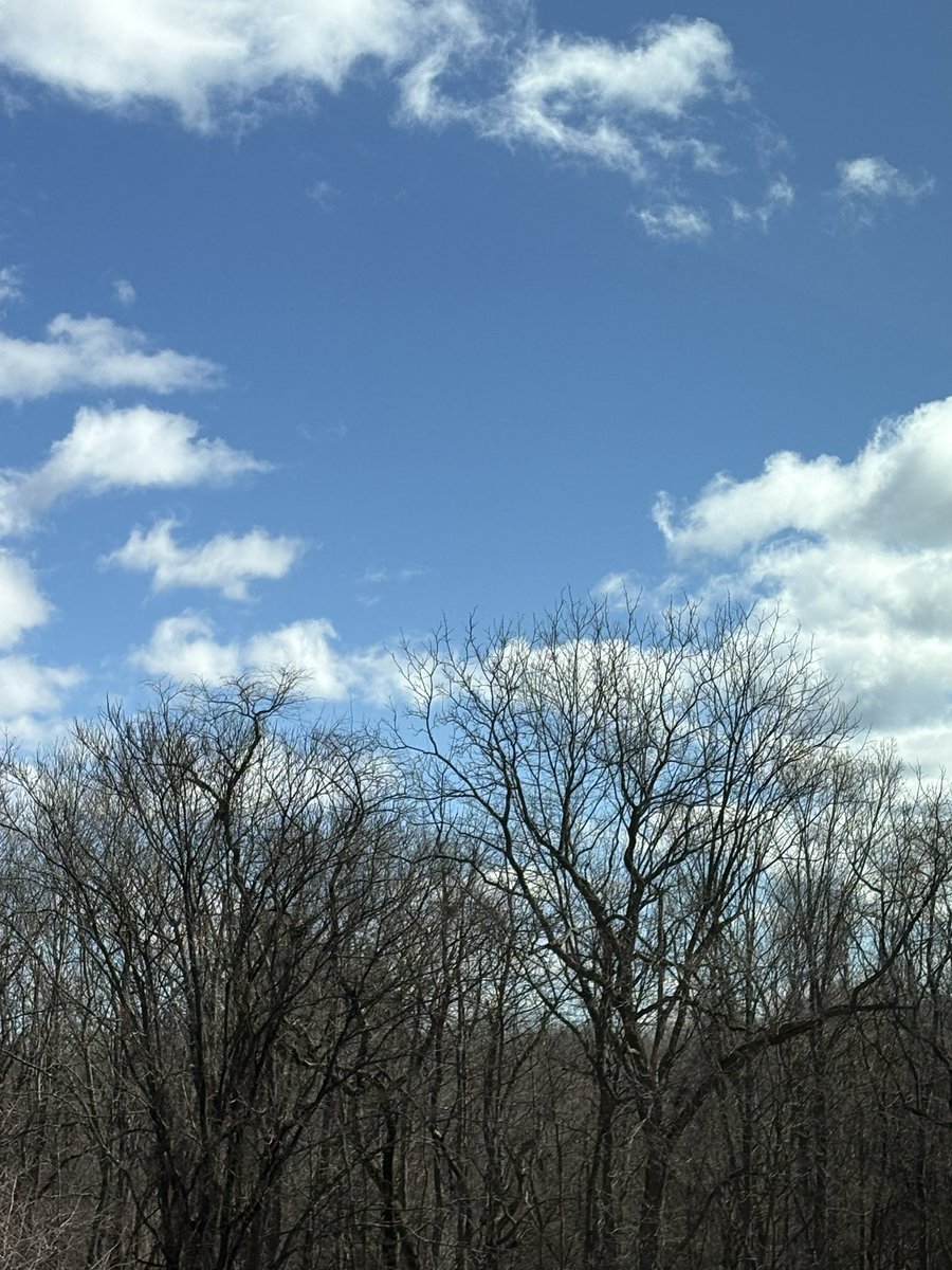 Nick❄️⛈️ tweet media