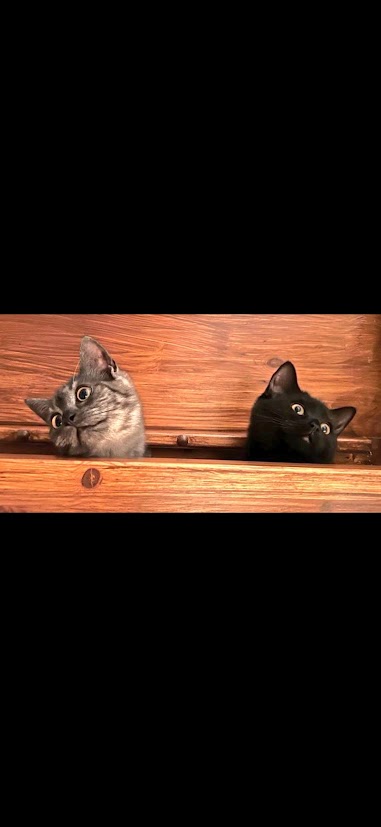 Markus Granlund tweet media