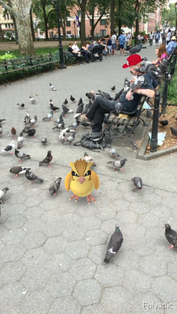 Resumido tweet media