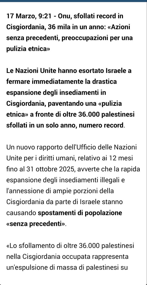 antonella rampino tweet media