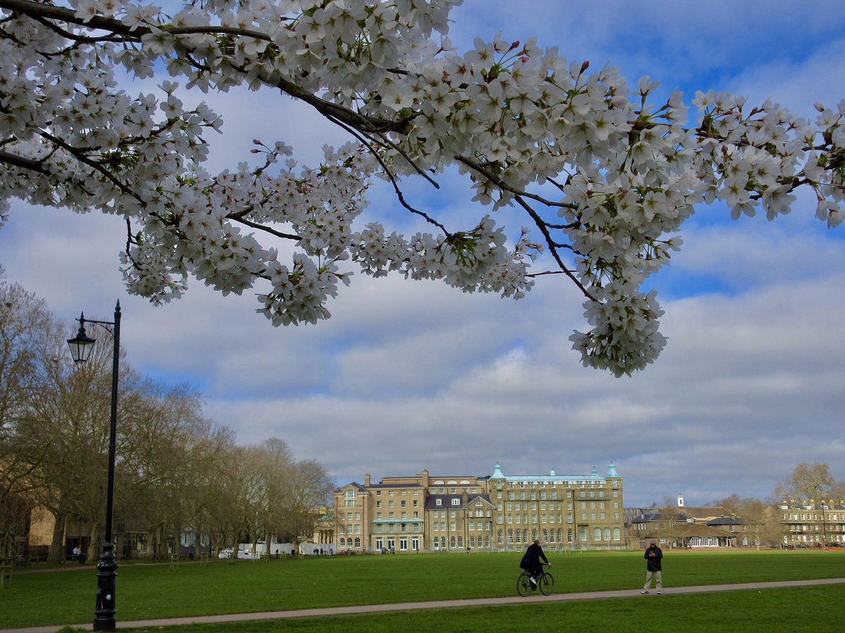 Susan Danielis Marshall tweet media