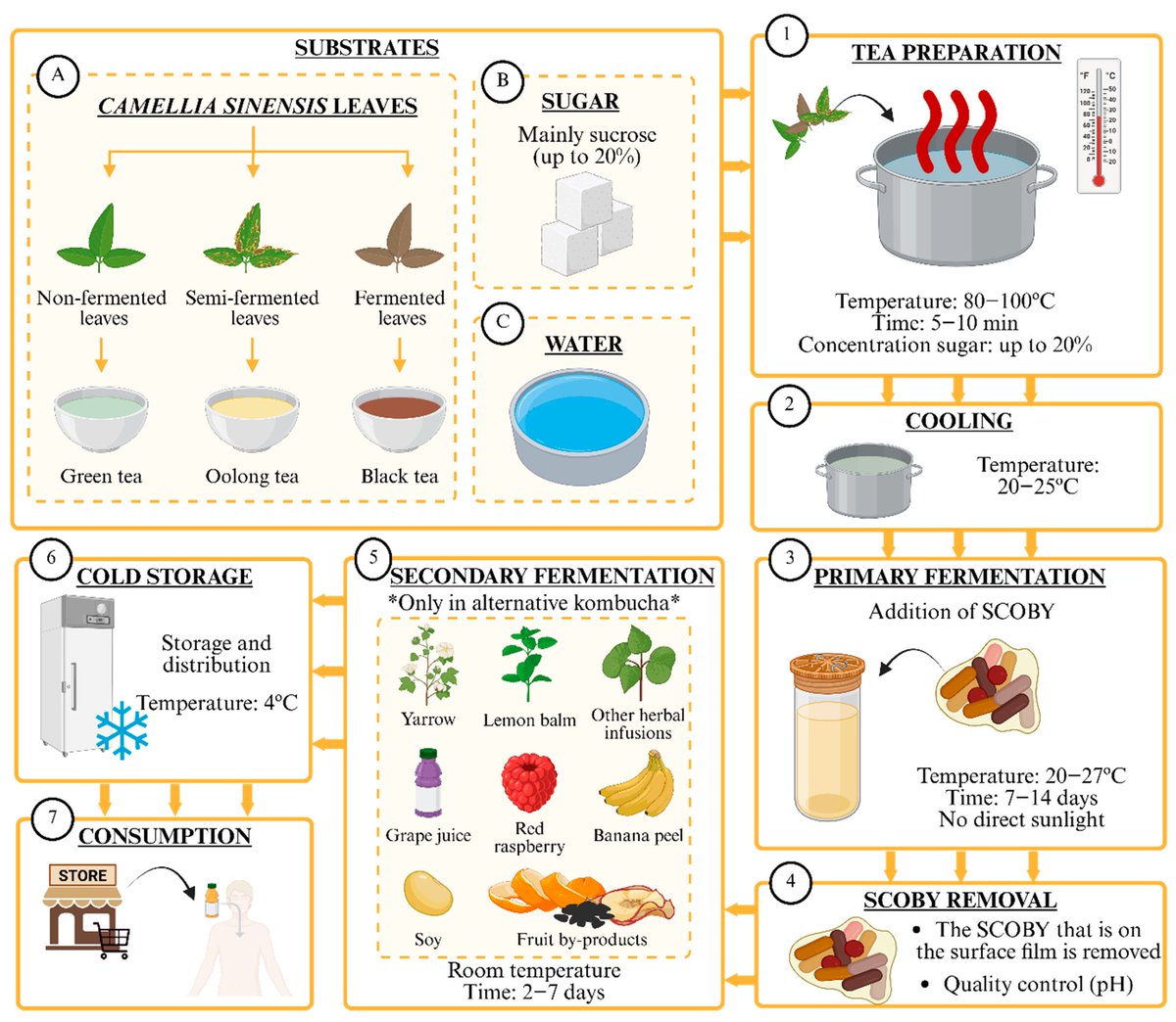 🔬 RicardoMontes tweet media