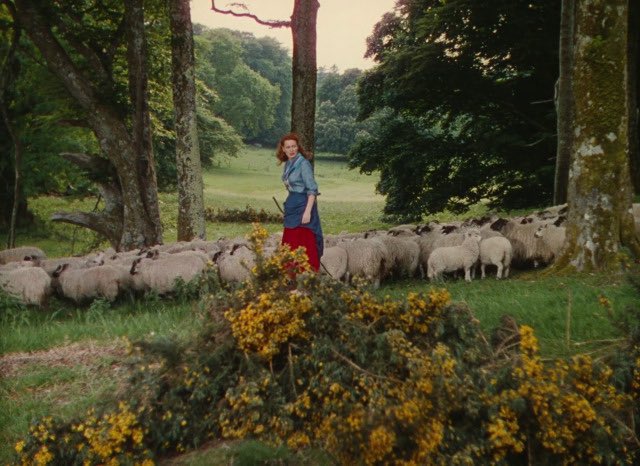 best of old hollywood tweet media