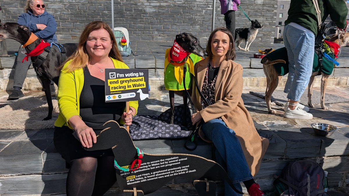 Sioned Williams AS/MS 🏴󠁧󠁢󠁷󠁬󠁳󠁿 tweet media