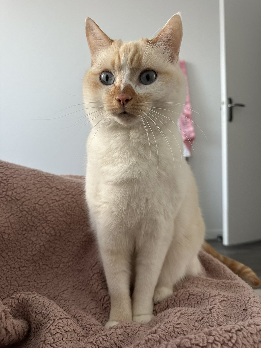 latte cœur lpb tweet media