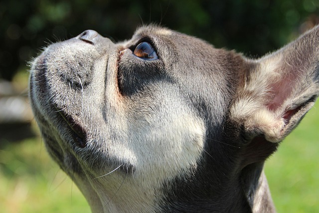 David Colby tweet media