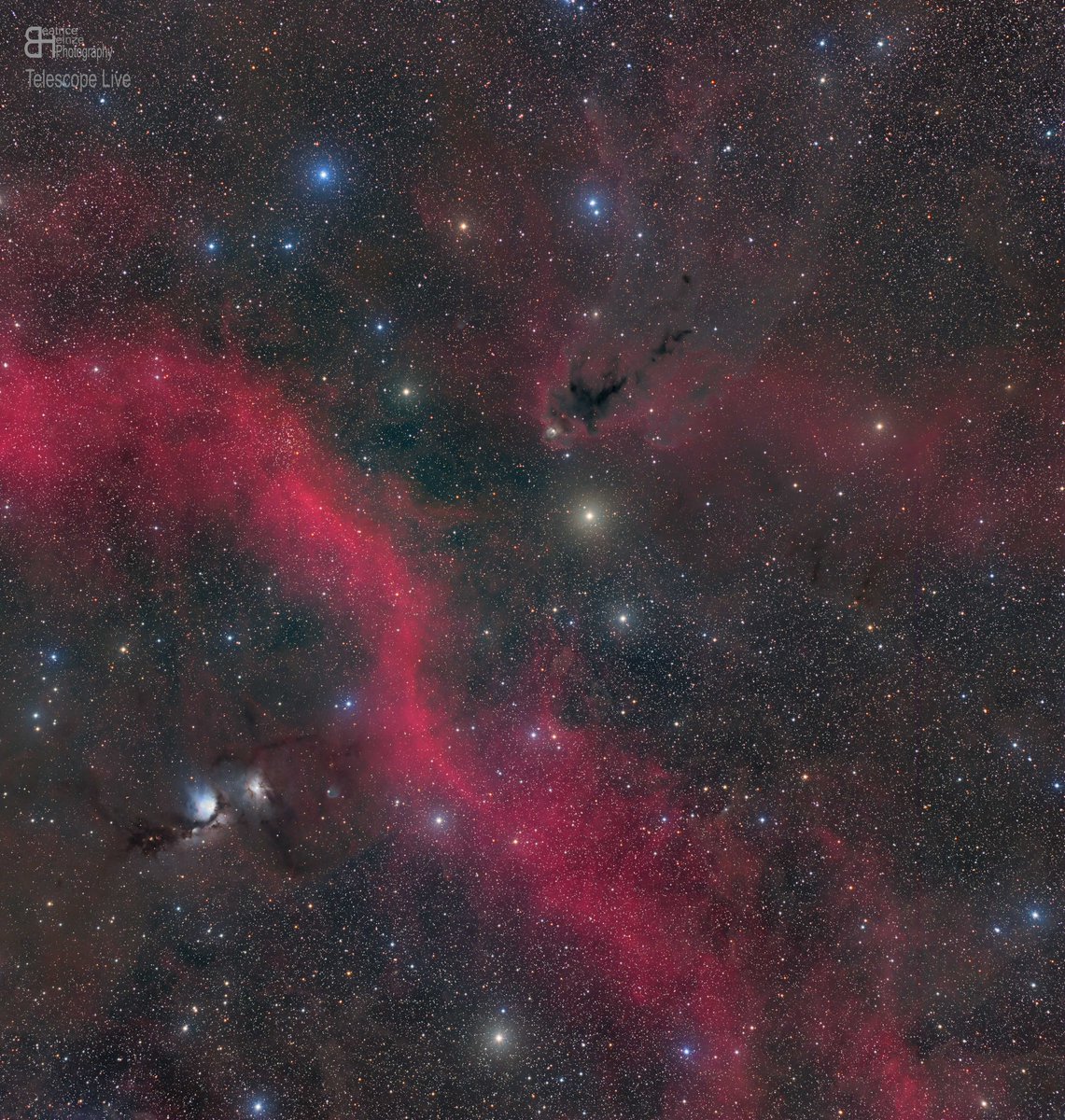 Beatrice Heinze Photography tweet media