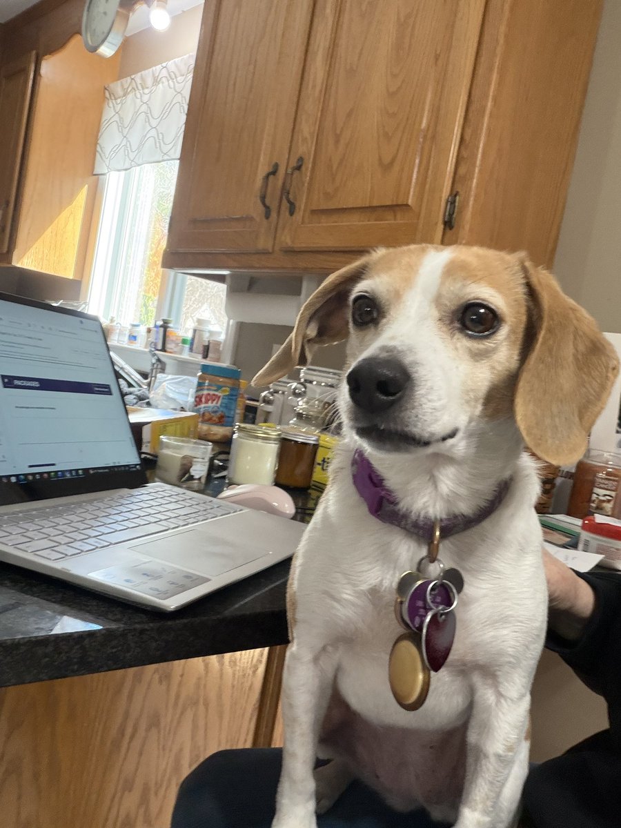 Stacey Q 🍄🍄 tweet media