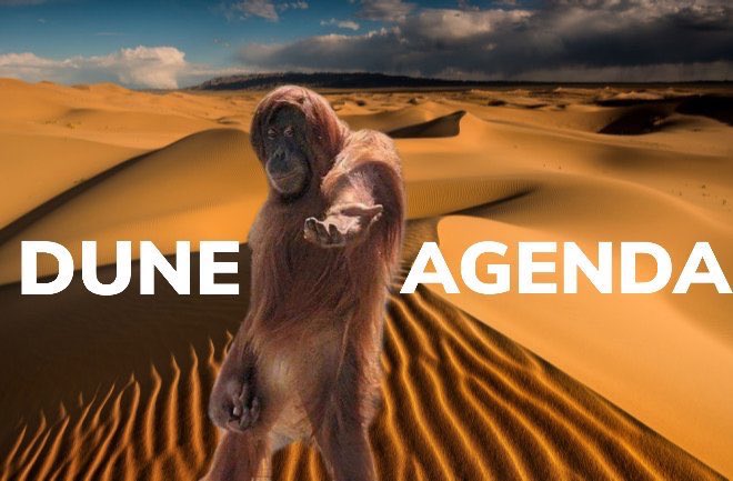 Juan Snow tweet media