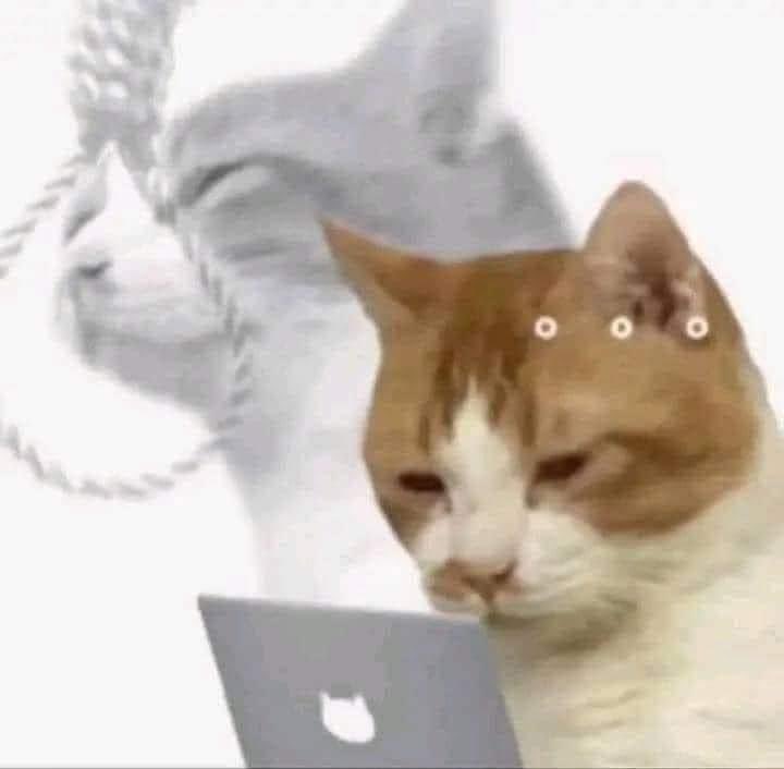 terminally onλine εngineer tweet media