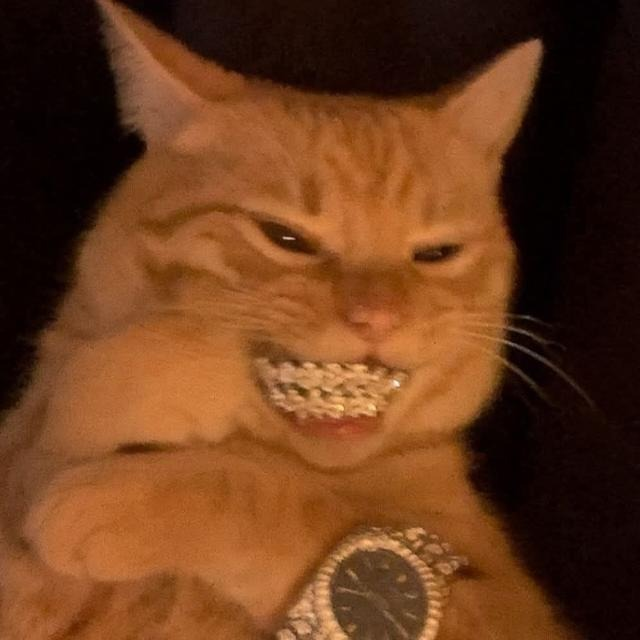 Saikenjuega tweet media