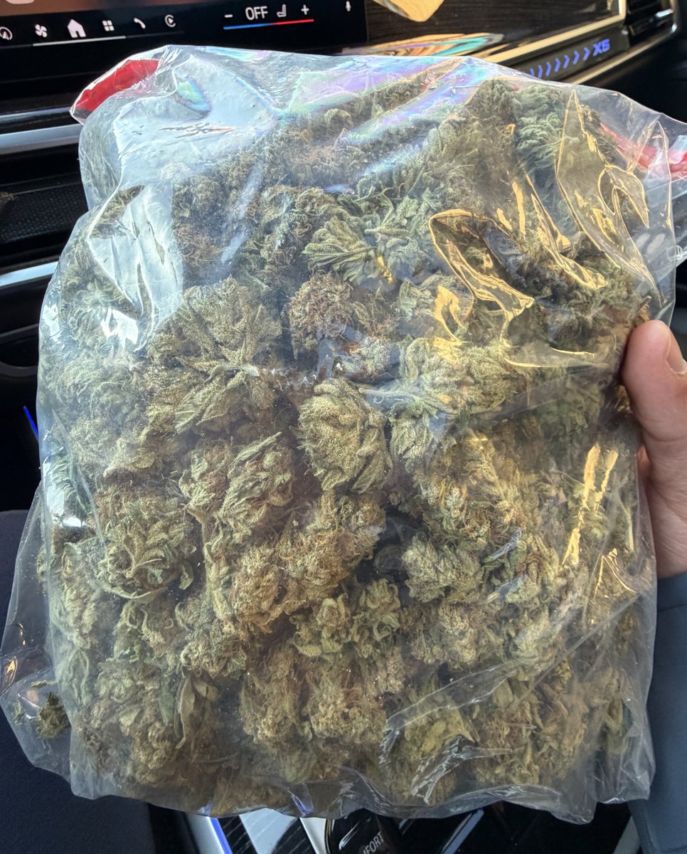 305 PIFF tweet media