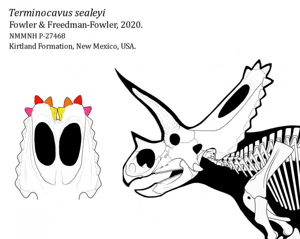 Dani Barrera Guevara tweet media