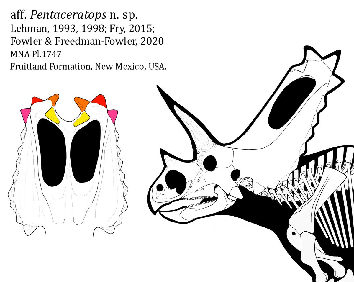 Dani Barrera Guevara tweet media