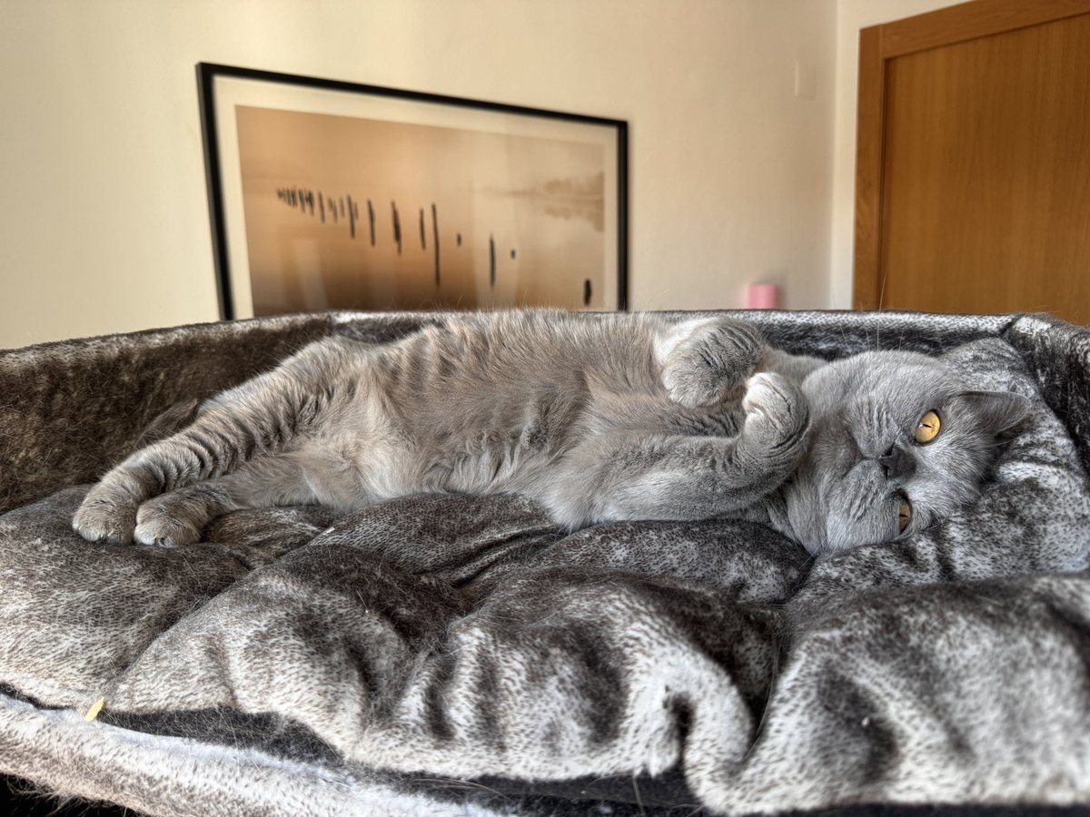 Dolly and Tali tweet media