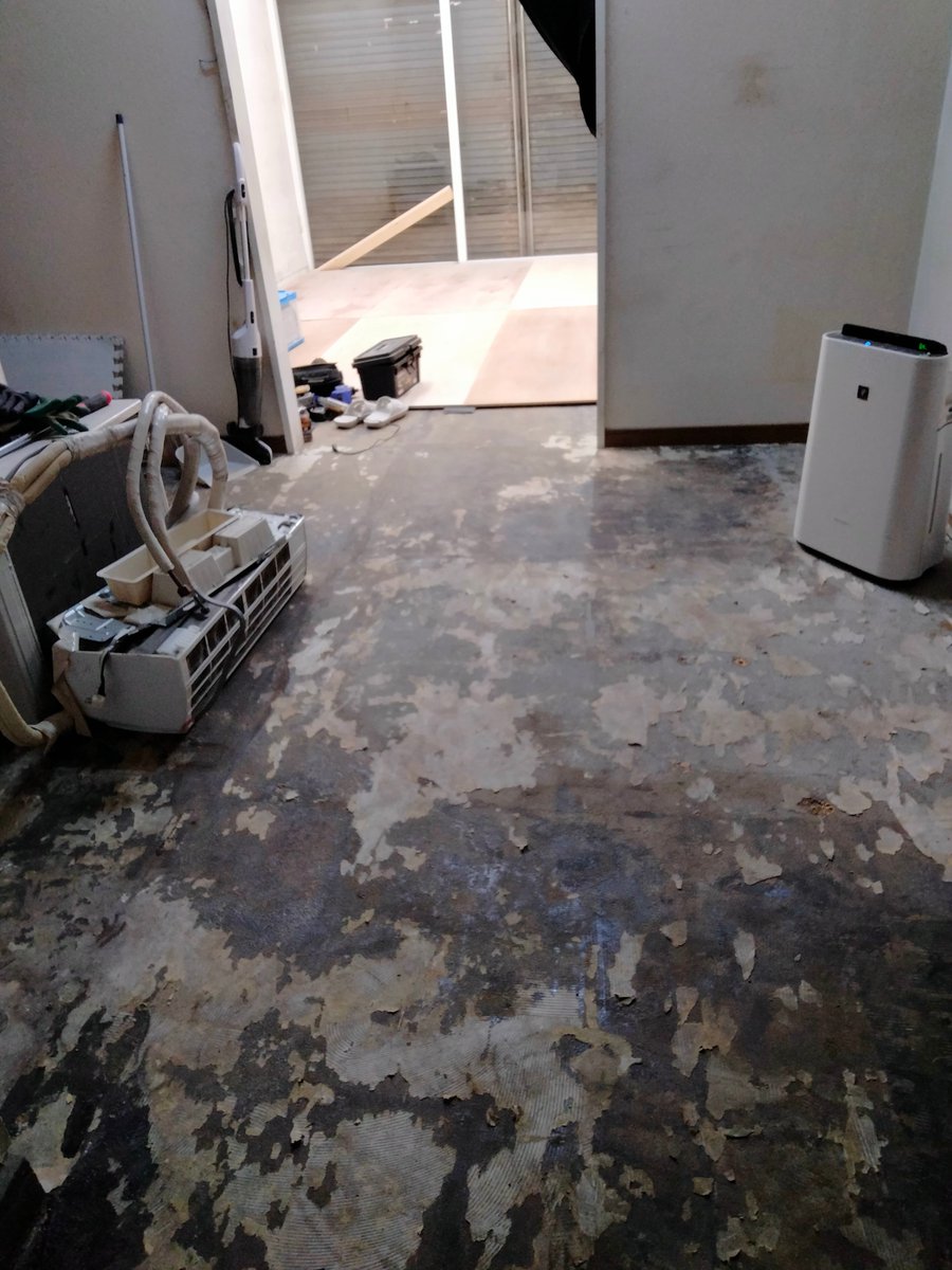 半畳の宇宙 tweet media