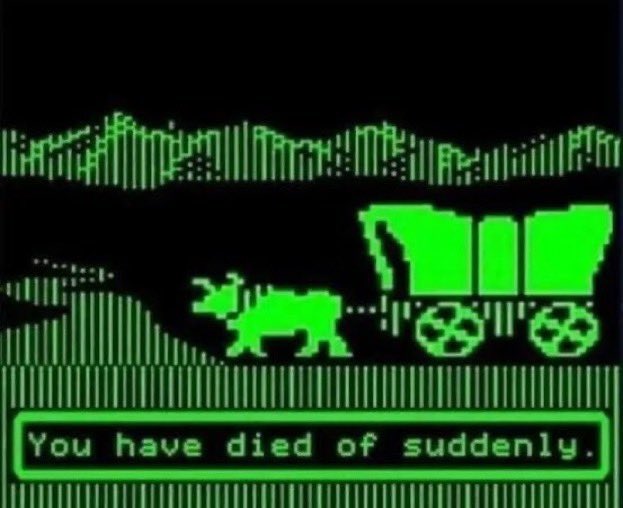 Tristan Wolf Abbott tweet media