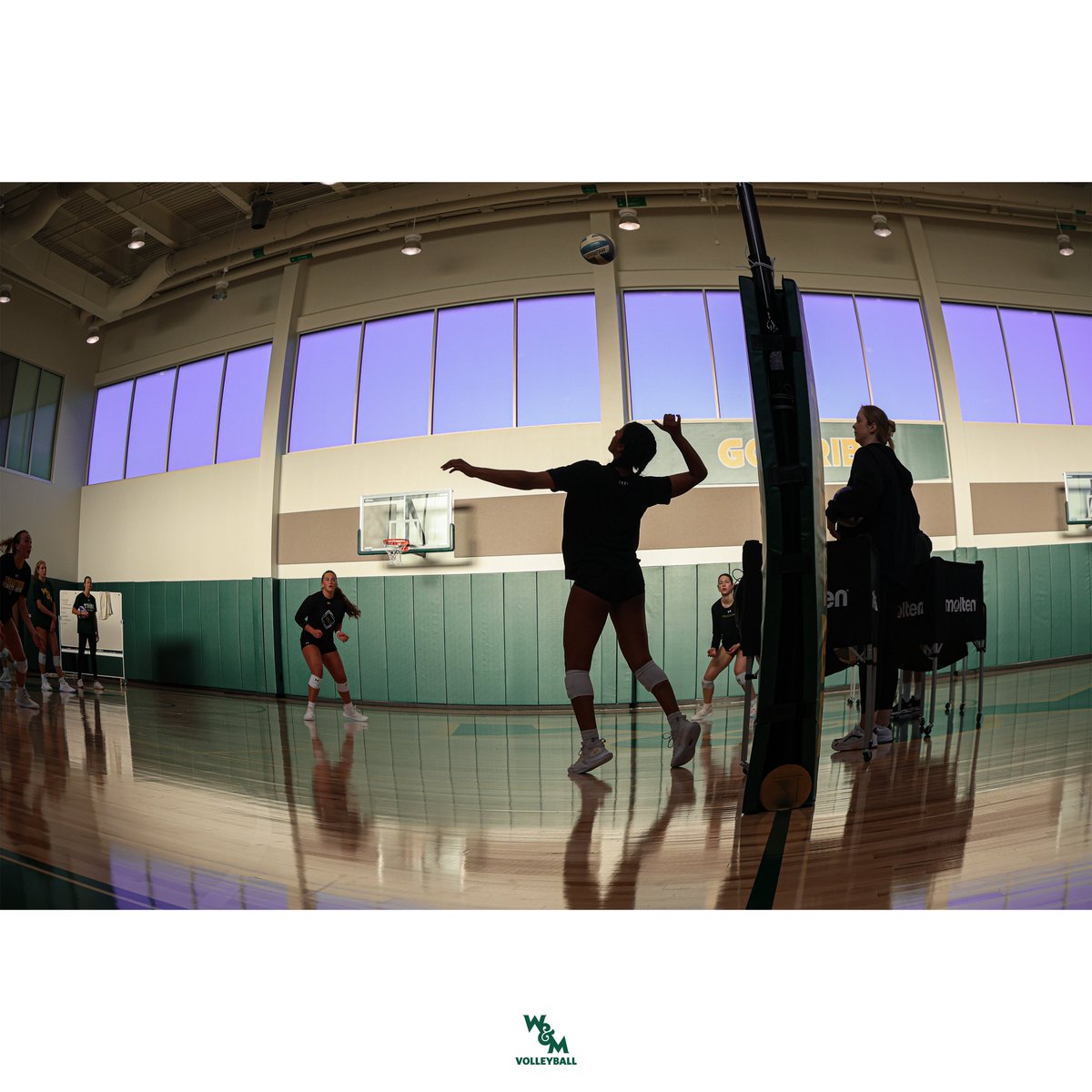 William & Mary Tribe Volleyball tweet media